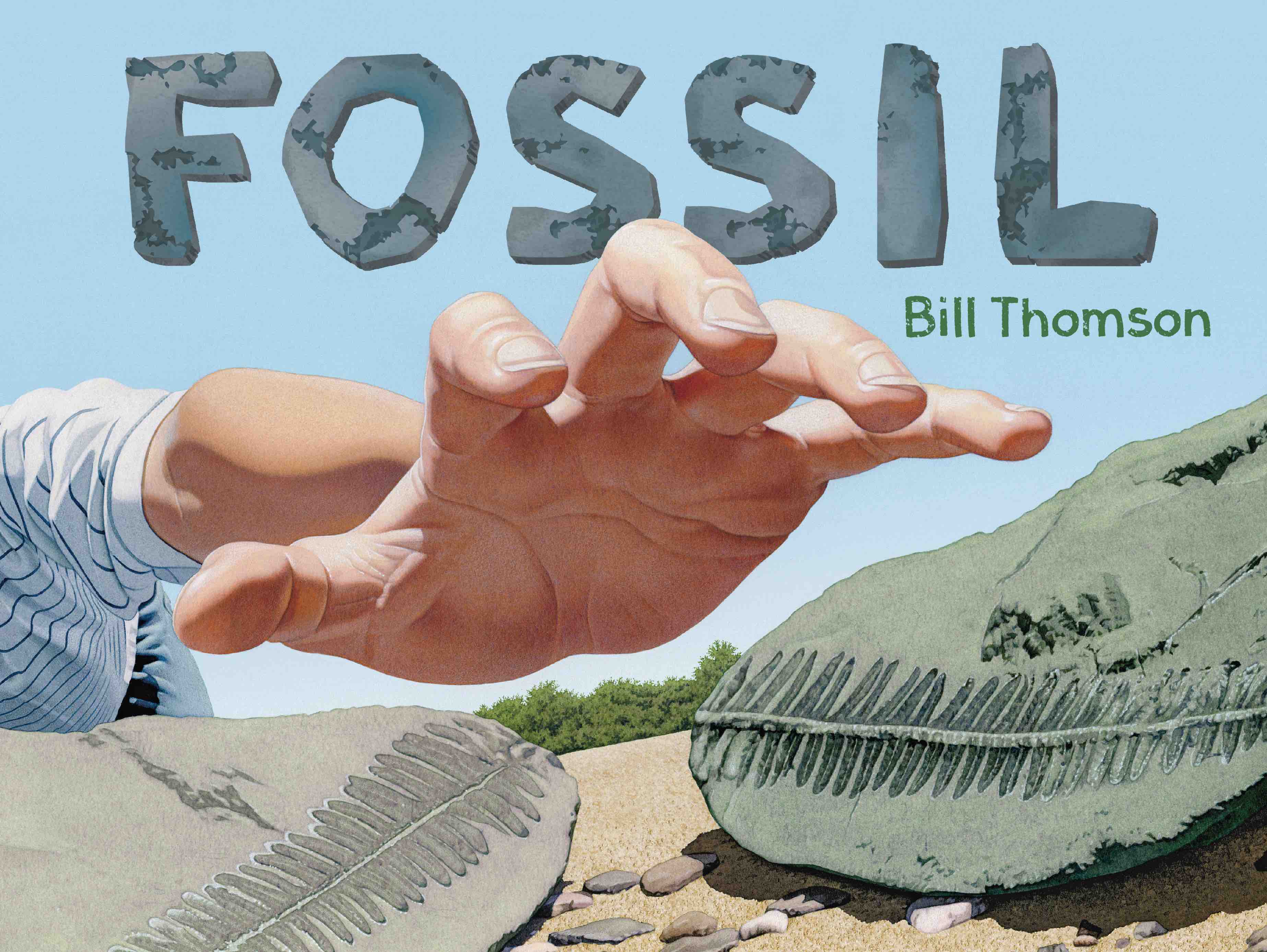 Fossil-cover